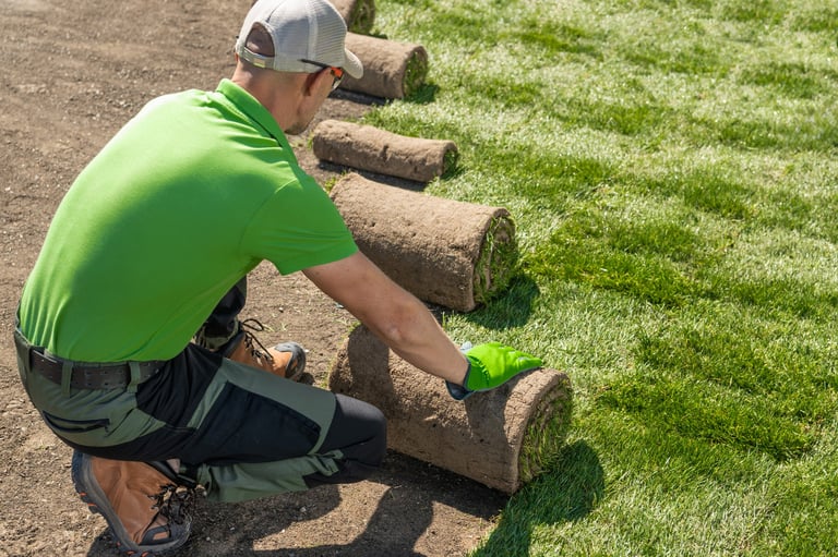 Grass installation