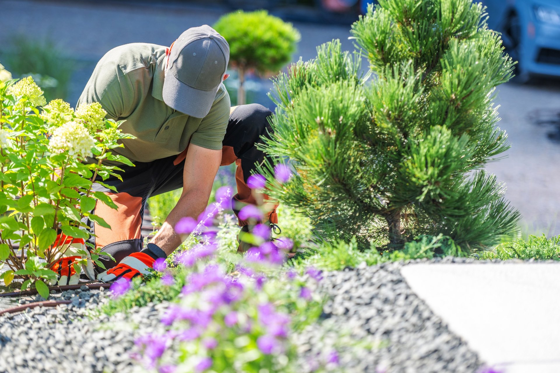 Professional landscaping