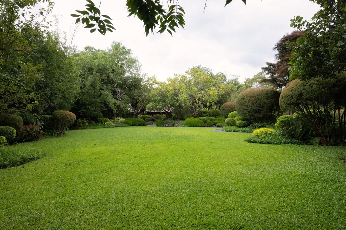 Beautiful landscaped garden