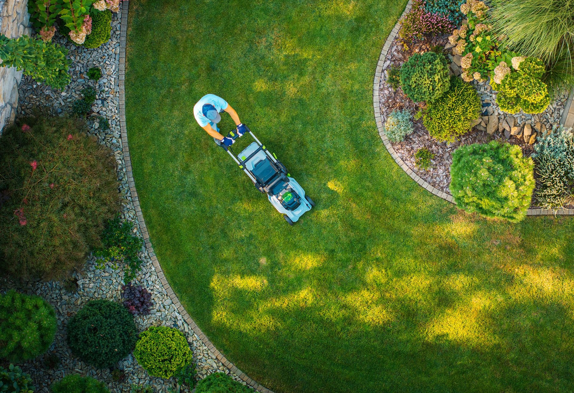 Professional lawn care